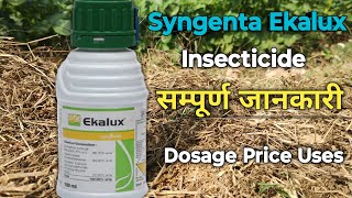 Ekalux Syngenta Insecticide | Syngenta Ekalux Insecticide |Quinalphos 25% EC