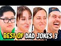 Dad Jokes | Don't laugh Challenge | Best Moments 3 | Raise Your Spirits