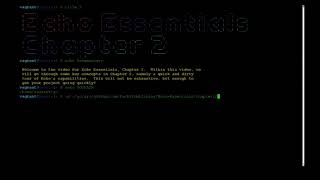 Echo Quick Start Guide | 2.Developing Echo Projects
