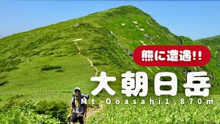 【大朝日岳】熊に遭遇！池？で水浴び！7月末の一泊二日朝日連峰35キロ大縦走！2023年7月の記録！