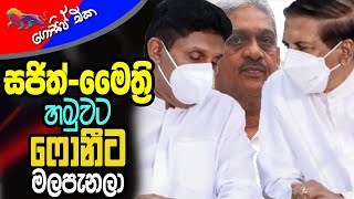 සජිත් මෛත්‍රී හමුවට ෆොනීට මලපැනලා! | Gossip | The Leader TV