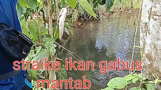 hiburan habis kerja mancing ikan di spot parit ladang sawit Malaysia