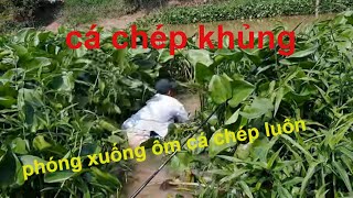 Đụng Phải Ổ Cá Chép Ham Mồi , Mới Thả Cụt Mồi Đầu Tiên Đã Lên Hàng # SĂN BẮT ĐỒNG THÁP #