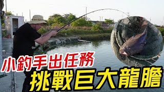 【阿北出市啦】小釣手出任務~挑戰巨大龍膽石斑