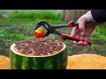 EXPERIMENT Glowing 1000 Degree BALL VS 10000 MATCHES VS WATERMELON EXPERIMENT Glowing 1000 Degree BALL VS 10000 MATCHES VS WATERMELON