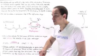 Peroxisomal Oxidation of Fatty Acids