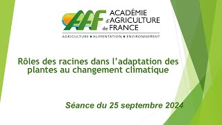 25/09/2024 : Rôles des racines dans l’adaptation des plantes au changement climatique