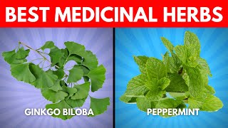 Top 10 Powerful Medicinal Herbs Backed By Science