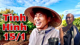 Ngày 15 tháng 1, Tình Hình Thầy Minh Tuệ Bên Thái Lan Tốt Đẹp Còn Ở Gia Lai Mọi Thứ Rất Bình Yên