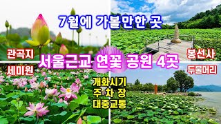 7월에 가볼만한 곳 - 서울 근교 연꽃명소 4곳 - 관곡지, 봉선사, 세미원, 두물머리 - 개화절정기, 주차장, 대중교통, 2023년 현장탐방 정보