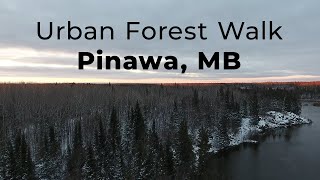 Exploring the Natural Beauty Behind Our House | Pinawa, Manitoba