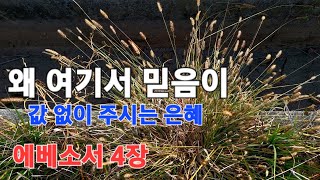 20241117(예배)-'왜 여기서 믿음이'(에베소서 4장 1-6절)_박동수 목사(빈나의 성)-고포리교회(주일)