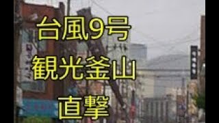 台風9号、韓国  釜山に直撃、 窓ガラスが割れて1人死亡