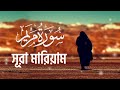 গর্ভাবস্থায় এই সূরাটি বেশি বেশি করে শুনুন beautiful ❤️ quran tilawat recited by alaa aqel.