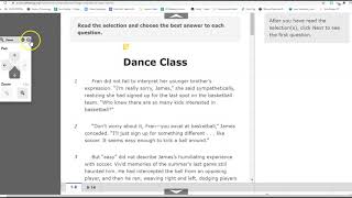 STAAR Interim Tool Practice