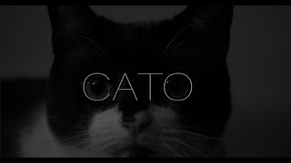 Cato - Official Trailer - 2020