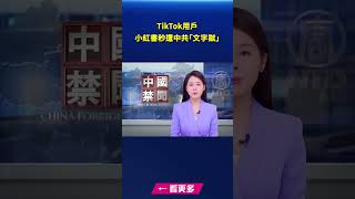 TikTok用戶湧入小紅書 秒遭中共鐵拳打擊｜#新唐人電視台