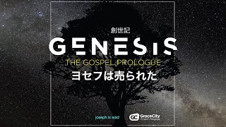 2023年4月23日⎪ヨセフは売られた Joseph is sold⎪創世記 Genesis 37:12-36