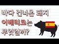 이베리코는 대체 뭐가 다른걸까?