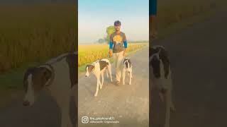 fire greyhound01/check my vlog/subscribe chanmel/pavi/harry/dog races