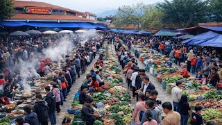 CHỢ PHIÊN TÂY BẮC  - BẮC HÀ (Lào Cai) VỠ TRẬN | Ẩm Thực Núi Rừng - Thảo Dược Quý Khiến Chị Em Mê Mẩn
