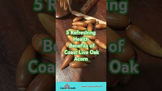 5 Refreshing Health Benefits of Coast Live Oak Acorn | #carecrash