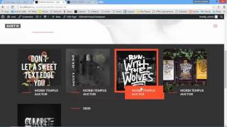 Portfolio shortcode, pop up/detailed link, portfolio item style