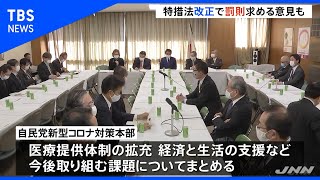 “新型コロナ特措法”改正へ 自民が中間とりまとめ