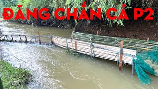 LÀM ĐĂNG CHẮN CÁ P2 -TỰ THỢ RỪNG