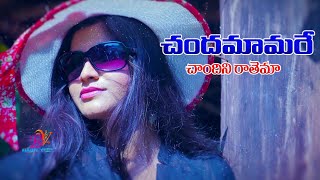 CHANDAMAMA CHANDINERATEMA BANJARA MOVIE SANDIYO SARKO CHORA AUDIO SONG // BANJARA VIDEOS