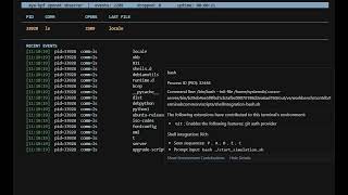 Developing BPF Observability Tools with the Rust aya Ecosystem