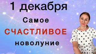 🔴 НОВОЛУНИЕ 1 декабря 🔴 Шанс Успех Удача ….. Розанна Княжанская