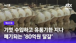 [백브리핑] 물가 잡겠다더니 수입하고 폐기하고 '80억 허공으로' / JTBC 뉴스룸