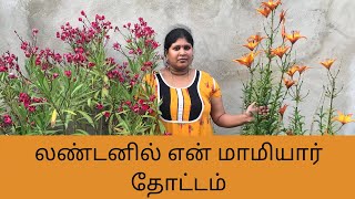 MOTHER IN LAW'S SMALL GARDEN IN UK || LONDON TAMIL GADENING || KAYAL FROM UK