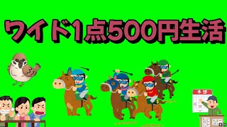 【100日後に金持ちになる】ワイド1点500円生活　65日目