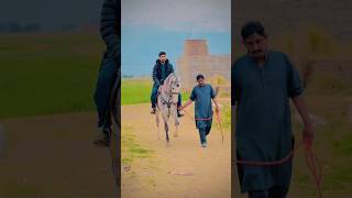 Mery shok da nai aitbaar soryaa|gujar khan|horse |horse riding|#gujarkhan