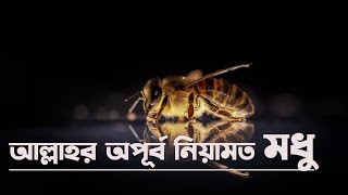 আল্লাহর অপূর্ব নিয়ামত মধু