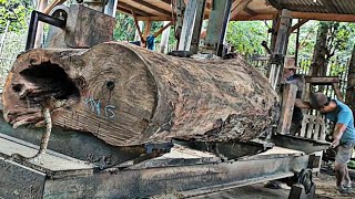 unexpected discovery of steel-hard logs at sawmill