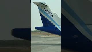 Flights with IndiGo | IndiGo 6E