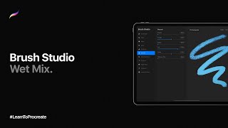 Procreate Brush Studio: Wet Mix
