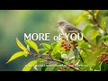 More of You | Soft Worship Music Instrumental With Scriptures | Christian Sound