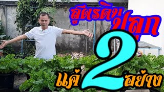 ดินปลูกที่ดีที่สุด ผสมแค่2อย่างเท่านั้น