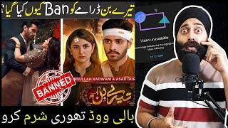 Why Tere Bin OST \u0026 All Episodes Removed from YouTube?