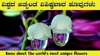 Know about the world's most unique flowers | GFacts