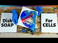 Acrylic Pouring with Dish Soap - 3 MUST SEE 🤓Ways To Create Cells without Silicone