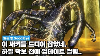 엘든 링ㅣ마지막 보스 이 새키.. 드디어 잡았다.ㅣ하필 막보 전에 업데이트..ㅣ이제 나도 소울 초보 탈출?