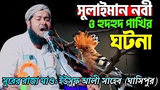 হজরত সুলাইমান ও হুদহুদ পাখির ঘটনা| মাওলানা ইউসুফ আলী সাহেবের ওয়াজ| Maulana Yusuf Ali Saheb Jalsa...