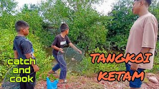 #EP956 Santai-santai Mencari Ketam - tahan tangkul/bento ketam