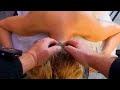 ASMR POV Amazing Back Massage [No Talking]