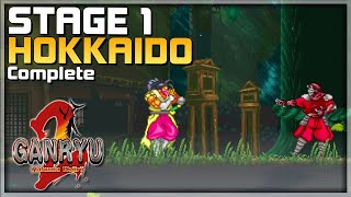 GANRYU 2 Gameplay Walkthrough - Stage 1 HOKKAIDO Complete - PC/Console - 2D Retro Platformer